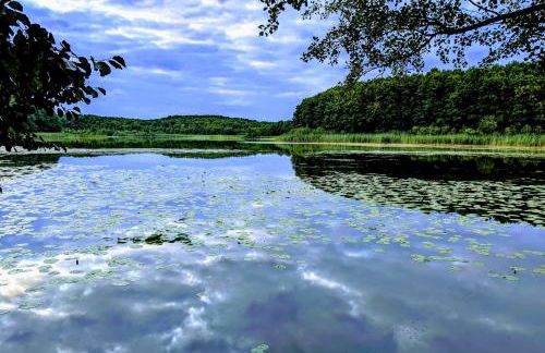 Ferienhaus am See - Foto 19