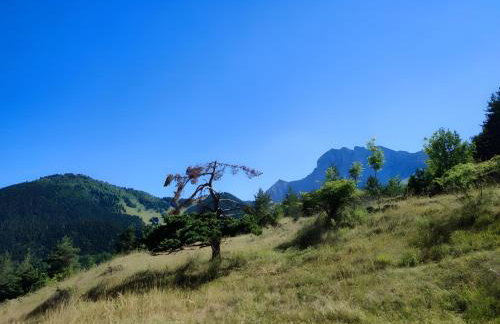 Les Cimes - La Canopée - Foto 13