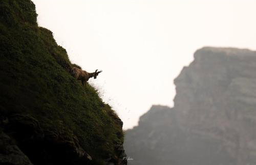 Ski Piau Engaly, plein sud avec vue sur les pistes à 50 m, cœur de station - Foto 31