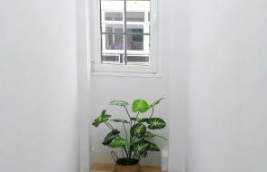 Roque's House - Foto 21