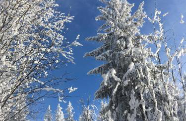 Ferienwohnung Lindenhof - Foto 36