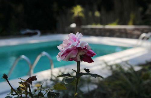 Charming Studio in Marco de Canaveses - 25m² with Pool - Foto 9