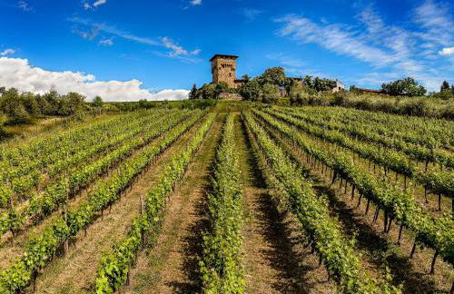 Castello di Cafaggio - Foto 75