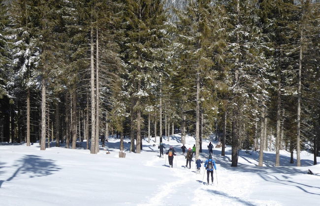 Large Apartment With Terraces in Val di Fiemme - Photo 24