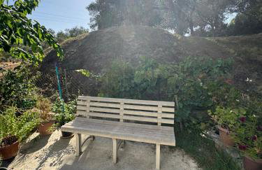 Mata's House - Foto 8