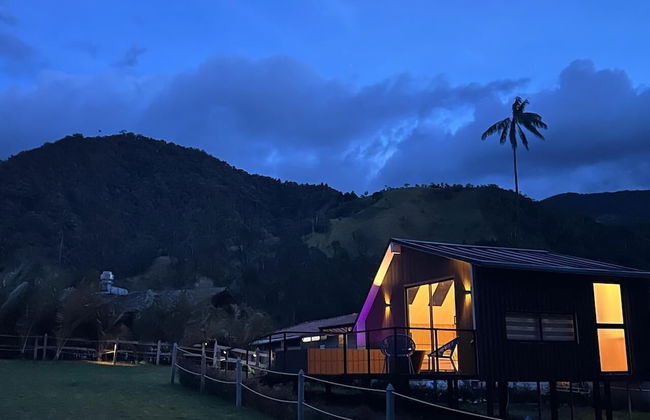 Bosques de Cocora Donde Juan B - Photo 16