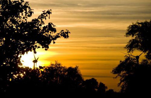 Pilsumer Sternekieker - Foto 14