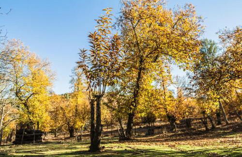 Pozuelo 1 JABUGO - Foto 15