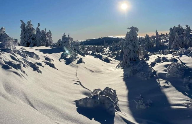 8 Person Holiday Home in Salen - Foto 29