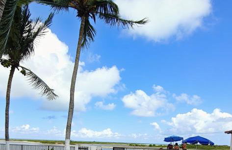 Chalé mobiliado para até 8 pessoas na praia do sossego pernambuco - Foto 8