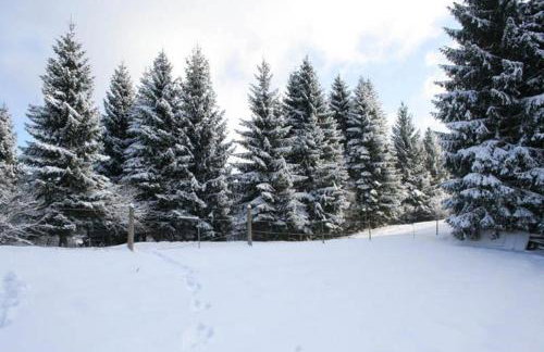 Apartments Nino - Foto 24