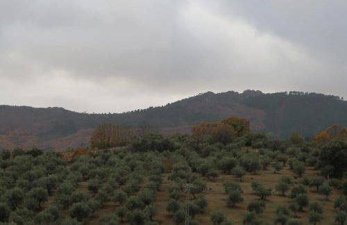 MIRADOR DE LAS VILLUERCAS - Photo 43