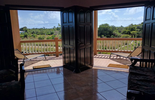 Savannah Sand Dollar - Foto 7