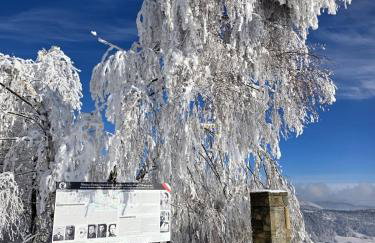 Domek w Chmurach II - Foto 49