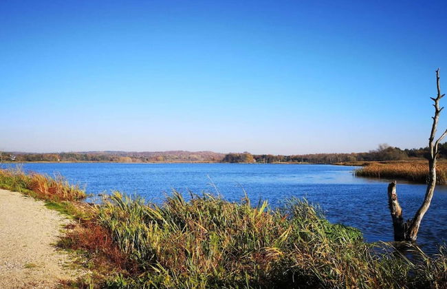 6 Person Holiday Home in Silkeborg - Foto 37