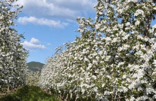 Millenniumshof - Foto 15