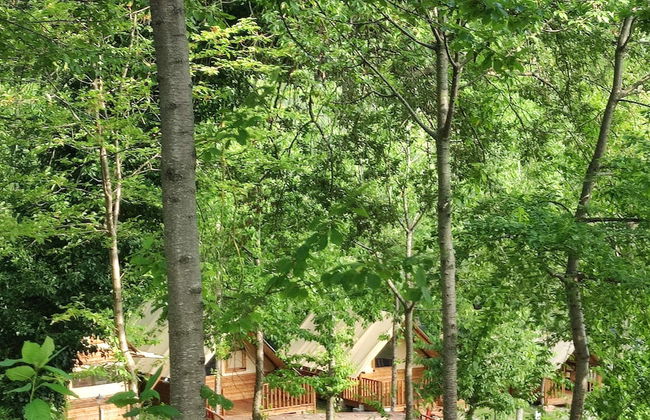 Saecula Natural Village Experience - Foto 39