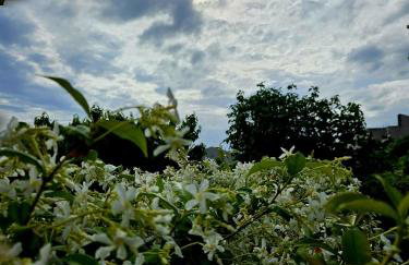 Perla No1 - Photo 31