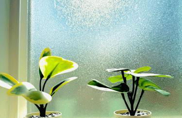 Colorful 50's Ranch in the Heart of Eugene - Foto 7