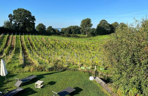 Hoheluft am Wittensee Apt 1 - Foto 14