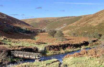 Idyllic countryside cabin with stream and lake - Foto 26