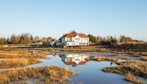 Snow Goose - Foto 2, Other