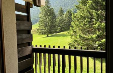 Superbe studio de montagne, au pied des pistes de ski, classé 3 étoiles - Foto 28