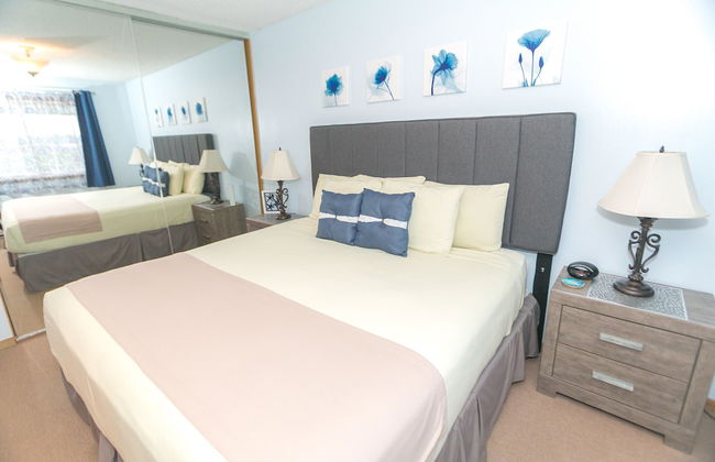 The Grey Gull - Foto 75