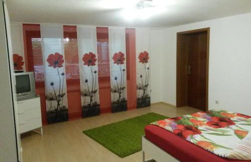 Ferienwohnung keine Monteurvermietung Nähe Heidelberg Hockenheim BDS Anlage - Foto 18