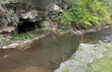 Sheppard's Holler - Photo 14