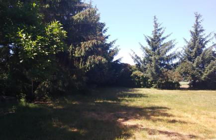 Ferienhäuschen - Foto 30