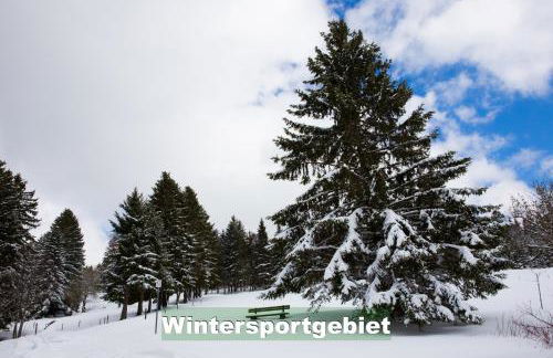 Wohlfühl-Ferienwohnung 80 qm, 8 Personen, Aussicht & Heimkino - Foto 22