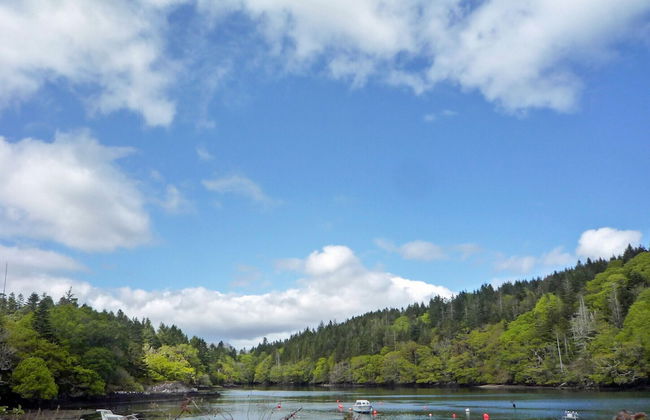 Stone Cottage Kenmare - Foto 18