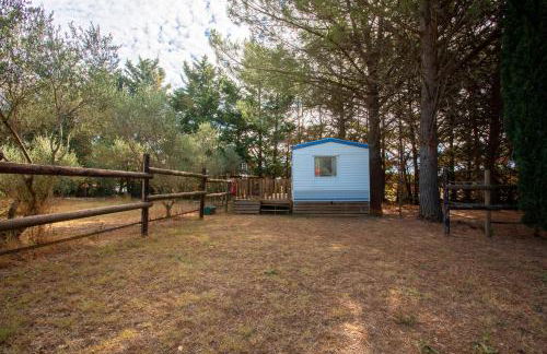 Kenya - Écuries du Mas di Gau - Foto 37