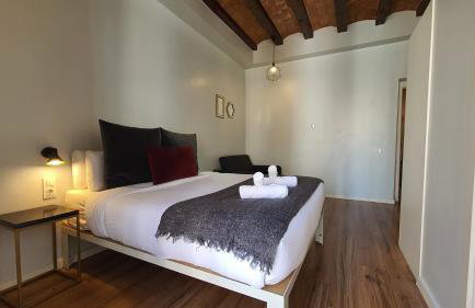 Barrio Gotico Apartments Ferran - Foto 62