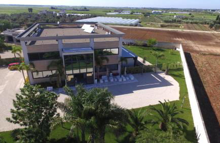 Terra di Negroamaro - Foto 36