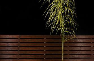 Sea View Hotel & Apartments - Foto 66