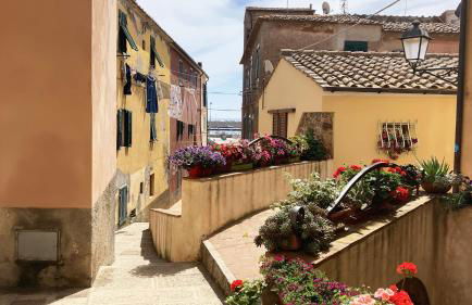 La Casa di Rosa - ArgonautiVacanze - Foto 9