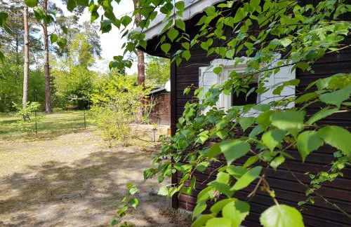 Hüttendorf für Euch alleine - geführter Yachtausflug nach Prieros inclusive! Nur 3 Minuten zum Badesee Fahrräder kostenlos vorhanden - Foto 13