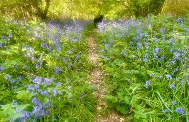 The Granary - Foto 53