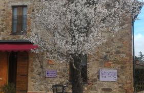 Country House La Fattoria Bellandi - Foto 2