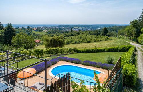 Juras Country House, bazen, sauna ,hot tube,vrt - Foto 8