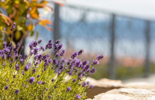 Villa Volare - Foto 71