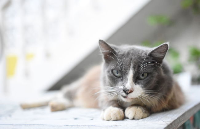 Room in B&B - Cancun Guest House 6 - Foto 22