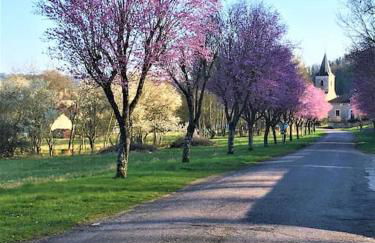La MUSARDIERE Gîte paisible à la campagne - Foto 1