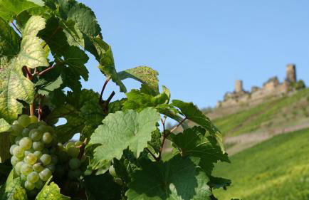 Zum Bachhexje - Foto 10
