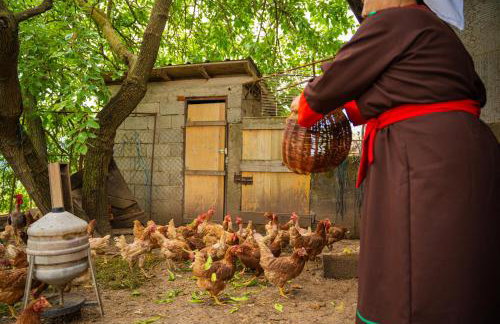 Holiday Home Belveder Motovun with heated pool - Foto 78