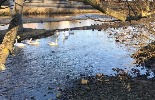 Ceol Na Mara Cottage by the sea - Foto 38