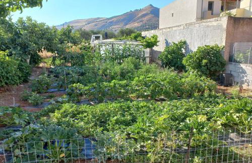 Like Home Luxury House, near Archaeological Museum - Foto 72