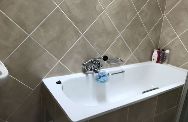 Vintage Palm - Foto 11